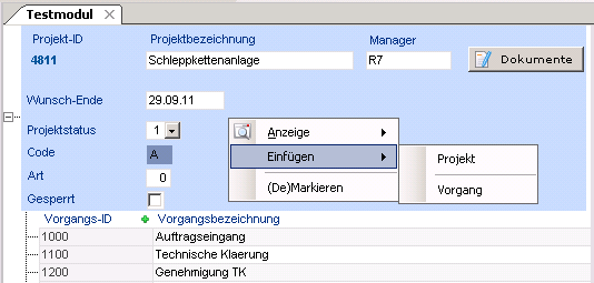 DSEinfuegen1.png